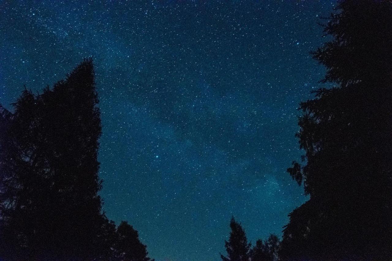 Industrium Villa Stronie Śląskie Exteriör bild